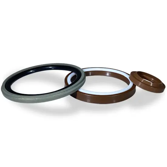 Sfeerbeeld voor FKM (Viton) Seals producten