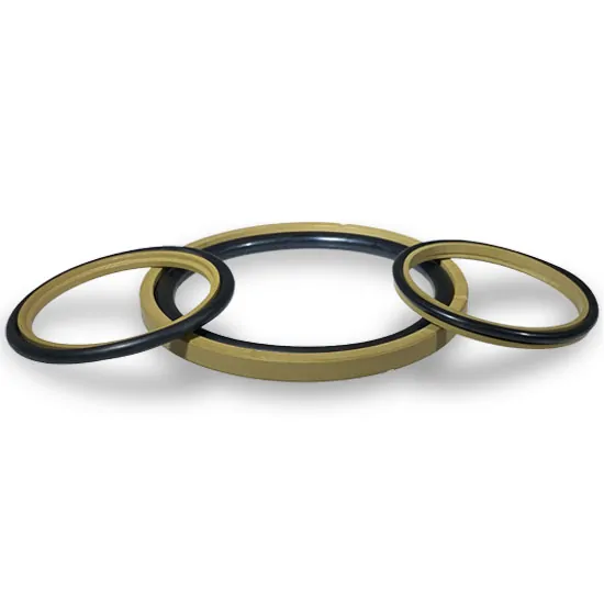 Sfeerbeeld voor PTFE Seals producten